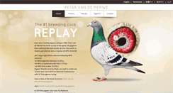 Desktop Screenshot of petervandemerwe.nl